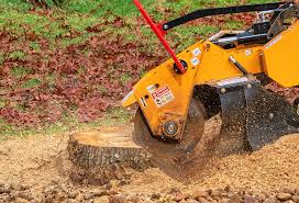 Best Aeration Services  in Madison, MS